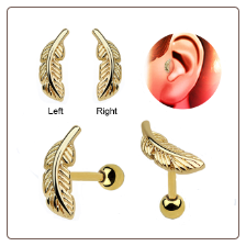 Anodized Gold 316L Surgical Steel Ear Cartilage Earring Helix Tragus Piercing Right or Left Feather