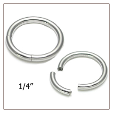 Segment Nose Ring Hoop Surgical Steel 1/4" 18 Gauge