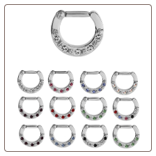 **BLOW OUT SALE**  316L Surgical Steel Septum Clicker Helix Nose Ring Hoop CZ Ring 16G