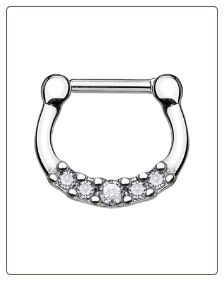 316L Surgical Steel Hinged Septum Clicker 1/4" 14G
