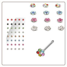 **BLOW OUT SALE** 316L Surgical Steel Nose Bone 4mm Flower 20G