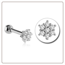 316L Surgical Steel Ear Cartilage Ring Stud Jewelry 7 CZ Stone Flower 16G