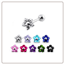 316L Surgical Steel Ear Cartilage Ring Helix Tragus Piercing 8.5mm Flower 17G