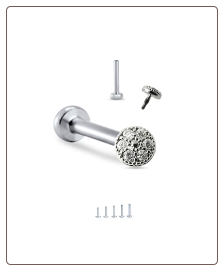316L Surgical Steel Labret Style Nose Monroe Stud Ring Screw Post