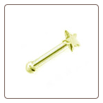 **BLOW OUT SALE** 14KT Gold Nose Bone Star 20G