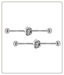 **BLOW OUT SALE** 2 PACK Ear Cartilage Industrial Scaffold Barbell Rose 14G