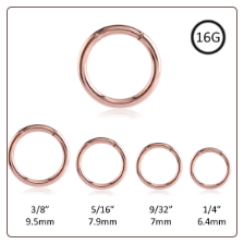 Segment Nose Ring Seamless Hoop Rose Gold Plated Surgical Steel 16G