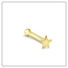 10KT Gold Nose Bone Gold Star 2mm